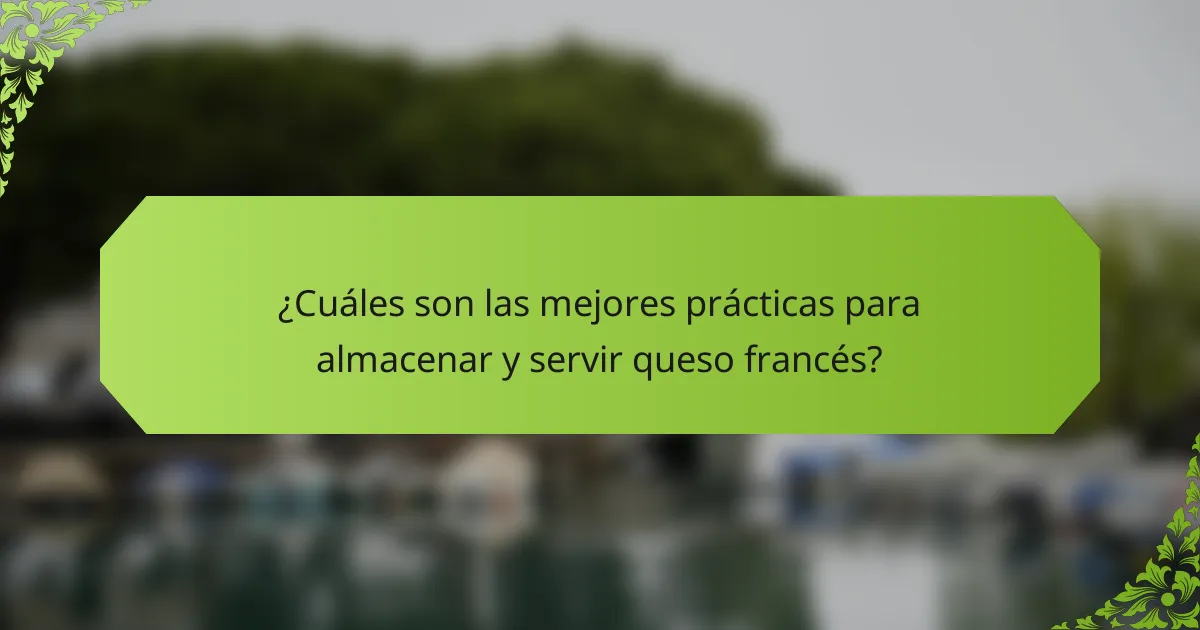 ¿Cuáles son las mejores prácticas para almacenar y servir queso francés?